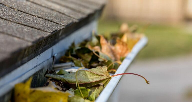 gutter clogged with leaves